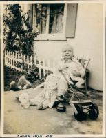 Wayland1/296 Kippy.jpg