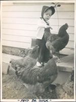 Wayland1/316 Kippy.jpg